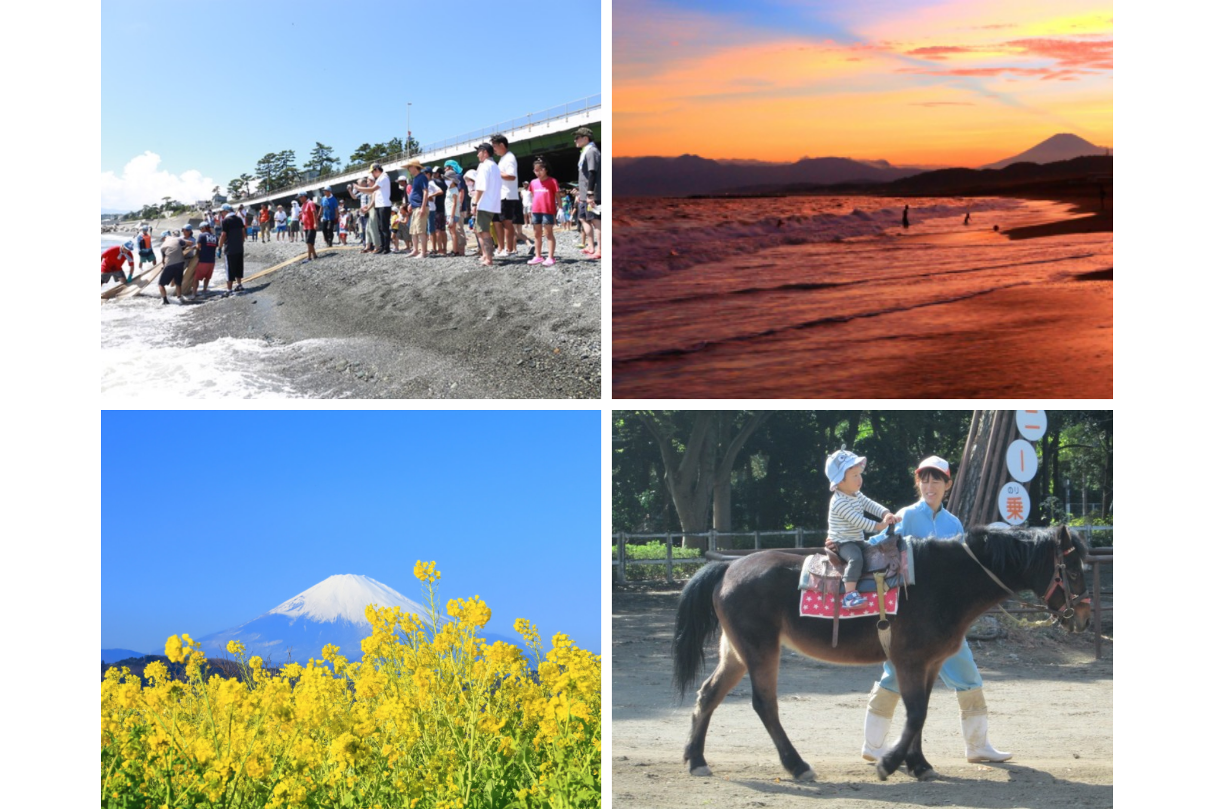 湘南西ファミリー満喫旅 〜文化と自然に触れる1泊2日〜